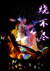 烧不尽数封语音